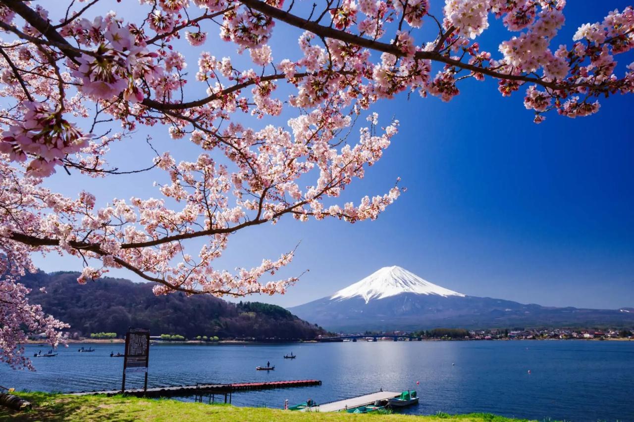 A TRAVELUXITY journey to Japan